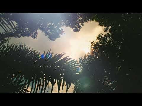 The White Lotus Season 3 Soundtrack - amor fati (Human Remains)